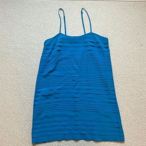 Blue Silk Joie Dress